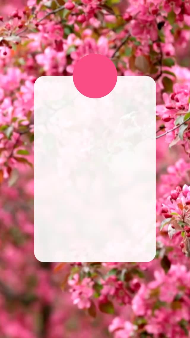 Instagram post from sugoguelph. This post is in position 5.