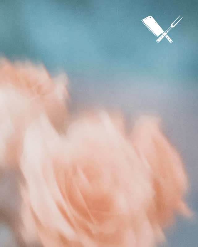 Instagram post from sugoguelph. This post is in position 4.